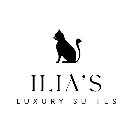 Ilia'S Luxury Suites - Adults Only ซิโลกาสโตร ภายนอก รูปภาพ
